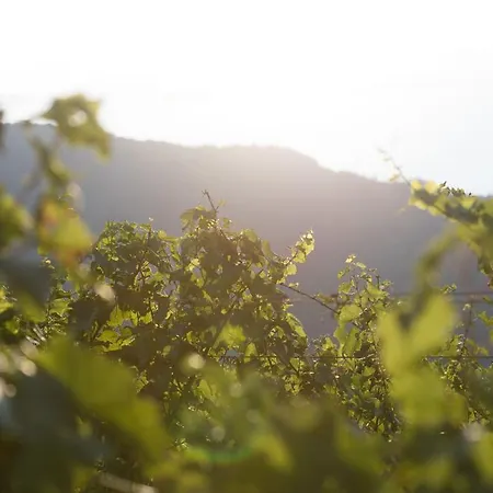 Cascina Clarabella Farm stay Iseo